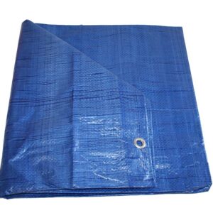 Large Tarpaulin 5'x7', Blue